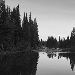 Meet your Posher, Suzanne